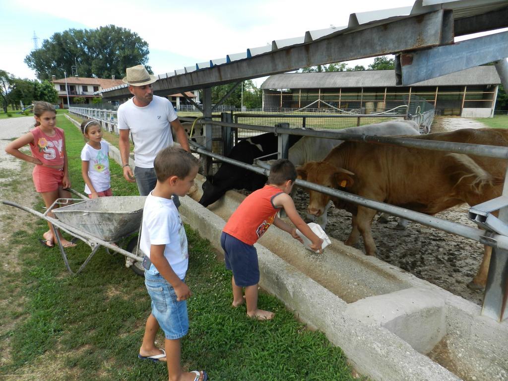 Отель Agriturismo Zio Michele Изола-делла-Скала Экстерьер фото