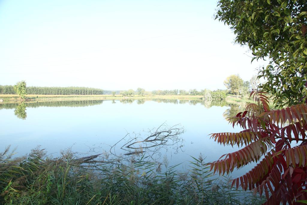 Отель Agriturismo Zio Michele Изола-делла-Скала Экстерьер фото